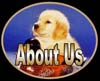 golden retrievers, golden retriever breeder, golden retriever puppies, lyric goldens, About Us